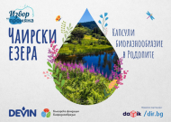 Торфищата на Чаирските езера – крехкото въглеродно хранилище на Родопите