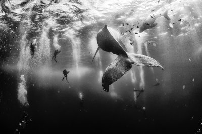 Победителите в конкурса National Geographic Traveler Photo Contest за 2015
