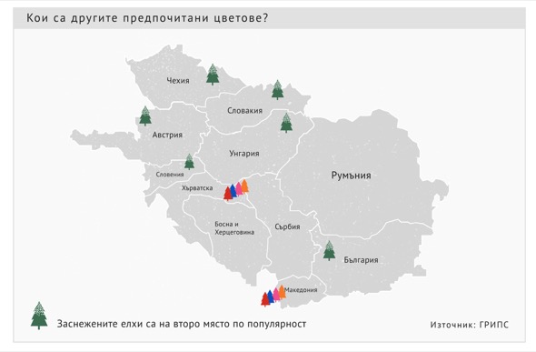 Проучване: Как хората в 12 страни избират коледни елхички