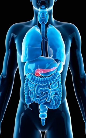 На 17-и ноември отбелязваме Международния ден за борба с рака на панкреаса